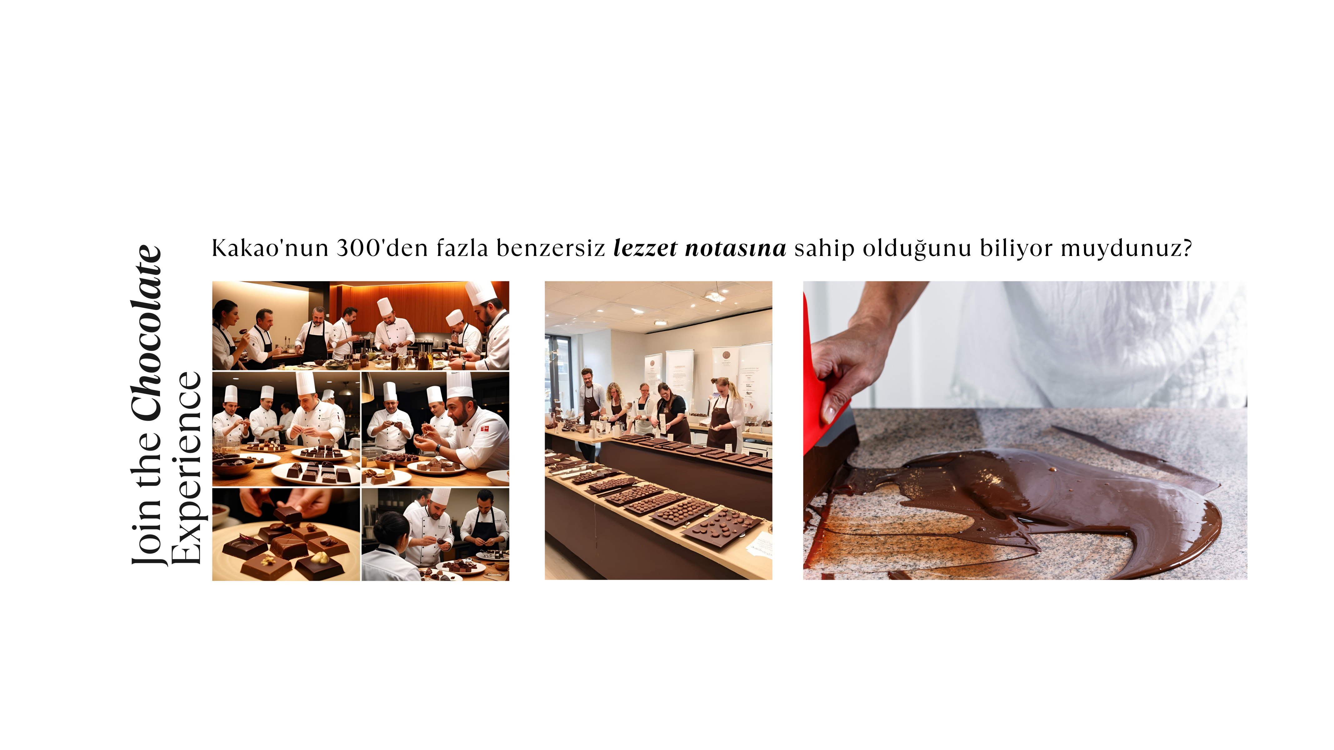 Gurme Collective: Mutfak Profesyonelleri İçin Çikolata Lezzet Profili Analizi Deneyimi